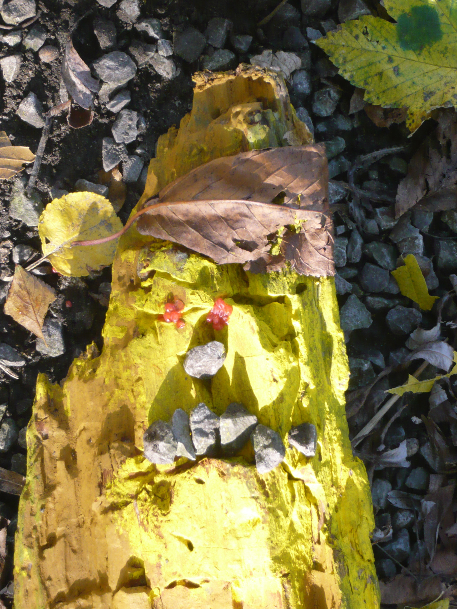 Stage « L&rsquo;art et la nature »