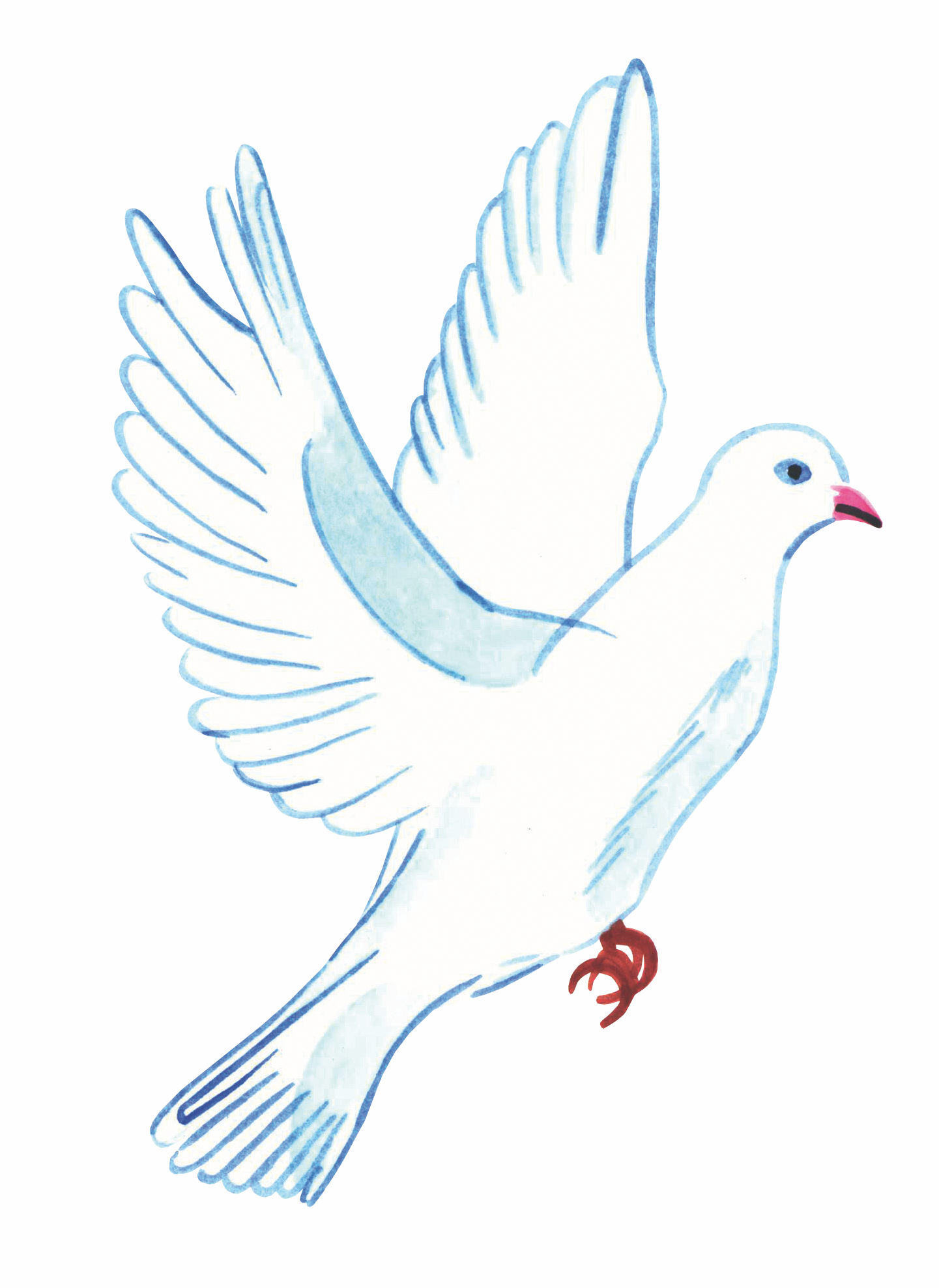 colombe_-_copie